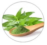 Андрогграфис метельчатый